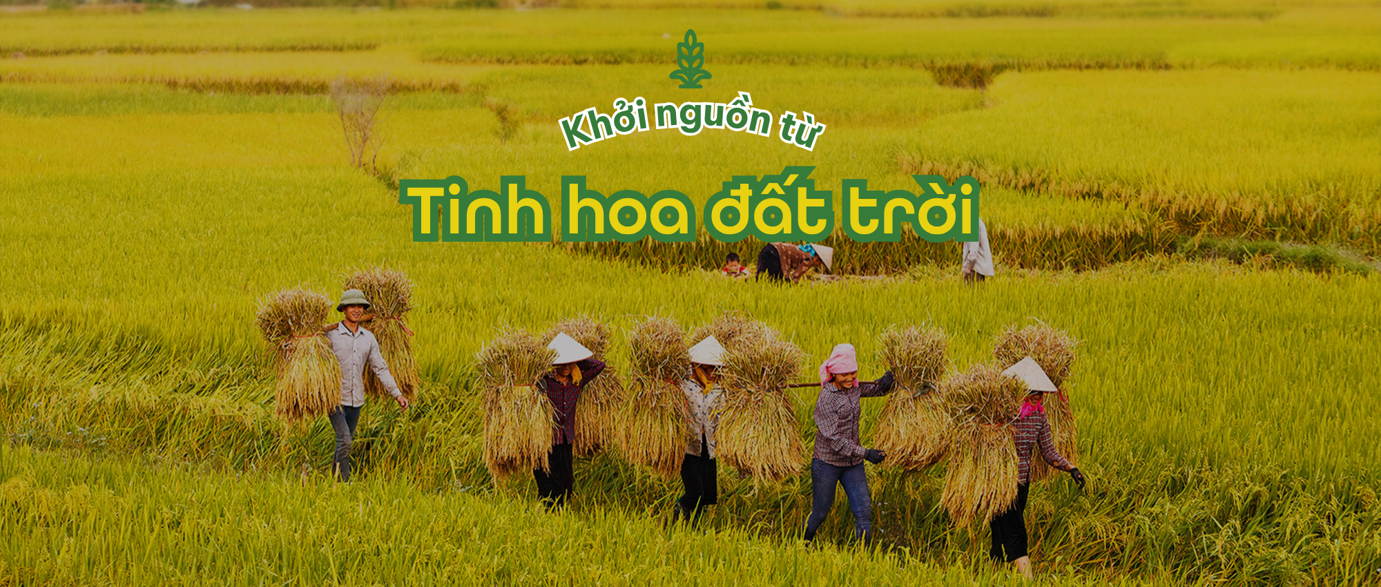 Khởi nguồn từ Tinh hoa đất trời